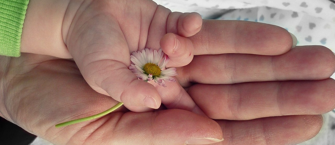 hands 105455 1280